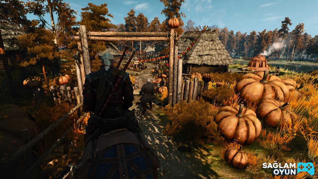 The Witcher 3: Wild Hunt - Ekran Görüntüsü 2