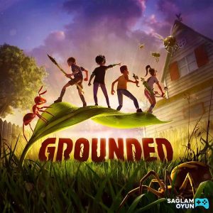 Grounded - Ana rn Grseli