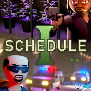 Schedule I - Ana rn Grseli